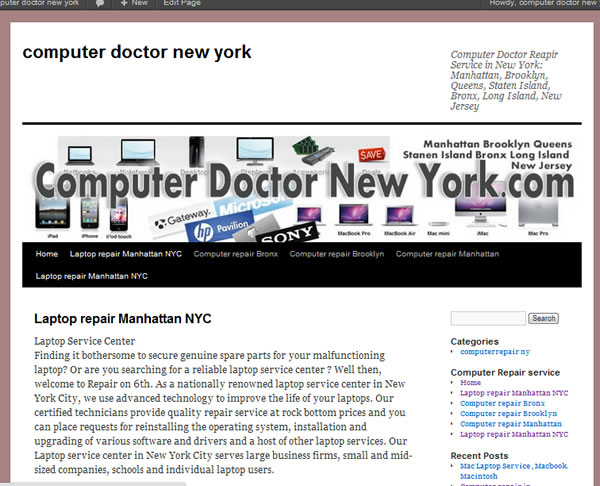 Computer Repair NYC Computer Doctor New York NYC Service