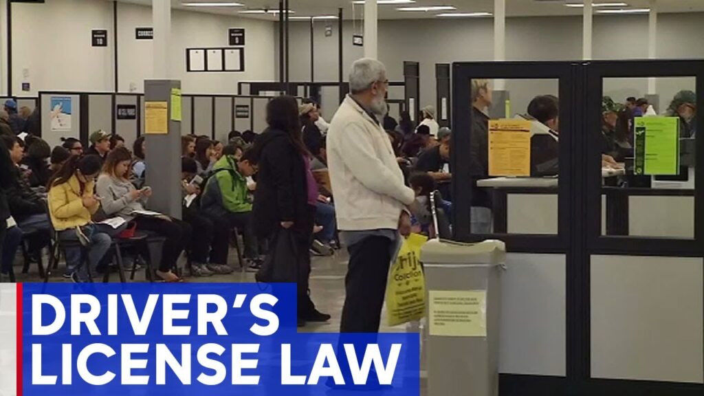 New driver’s license law benefits undocumented workers
