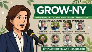 USA-New-York-mews-Hochul-grow-ny