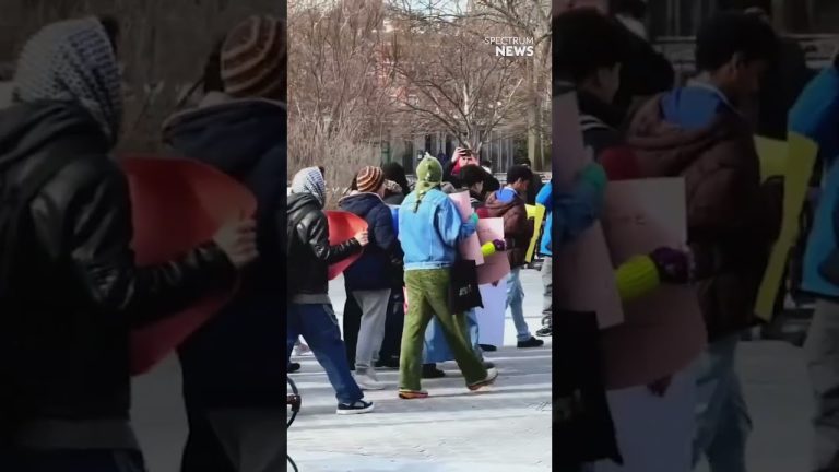NYC students protest ICE in Washington Square Park