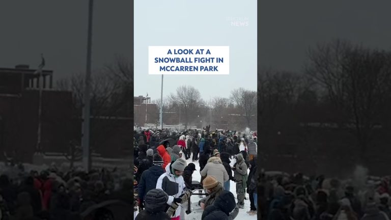A look at a snowball fight in McCarren Park