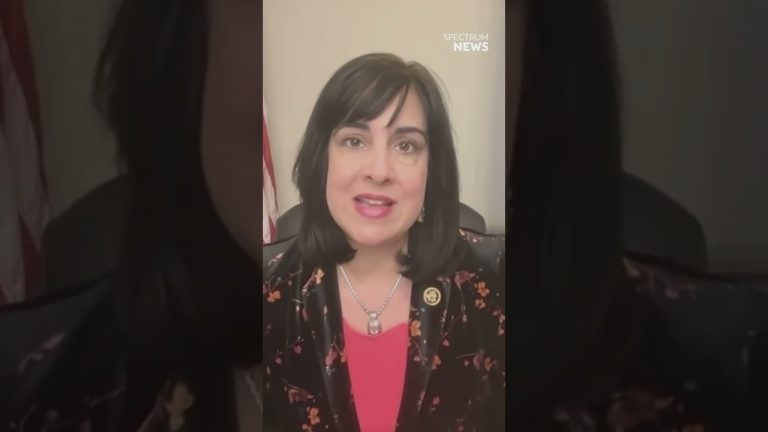 Malliotakis says Democrats tried to ‘gerrymander based on race’
