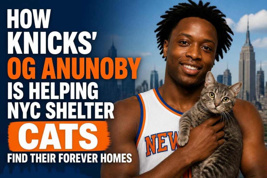New York news featured image for NBC New York