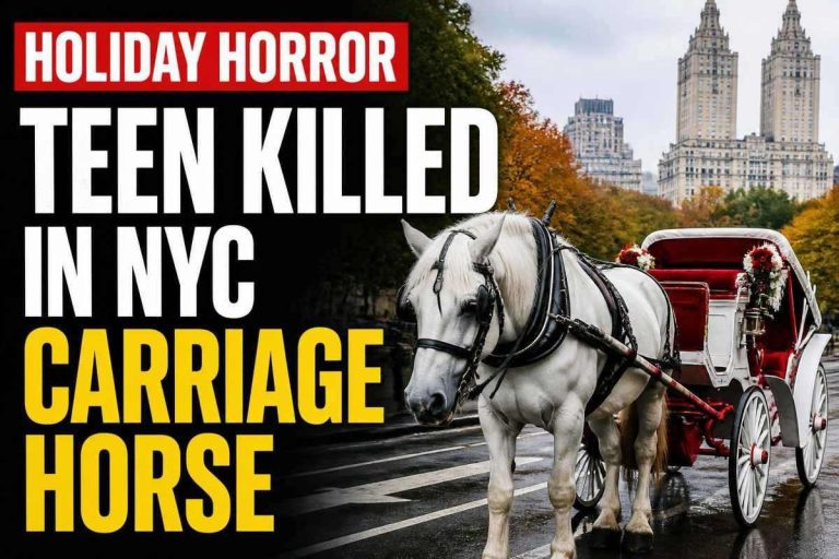 New York news featured image for New York Post Metro