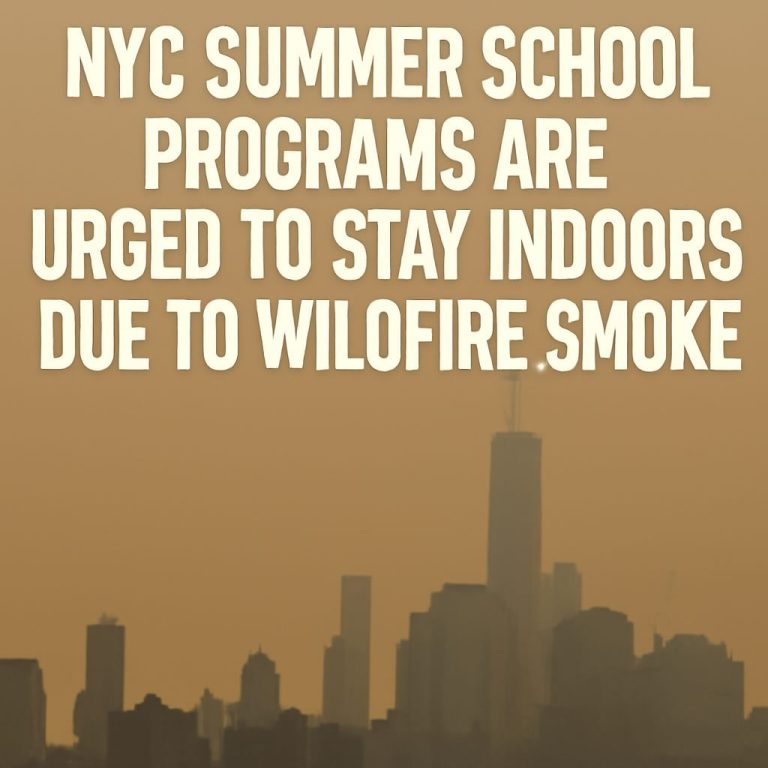 New York news featured image for THE CITY